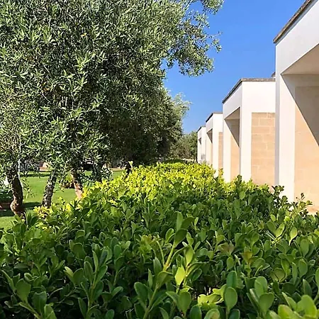 Hotel Otus 4*